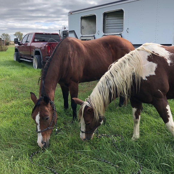 Meet your Posher, Alexis - Picture 2 of 6